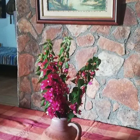 Σπίτι διακοπών Stone House Κελοκέδαρα
